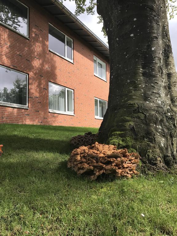 Hotel Jernbanegade Kibæk Esterno foto